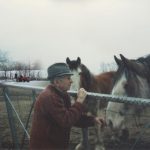 Chevaux et tracteurs