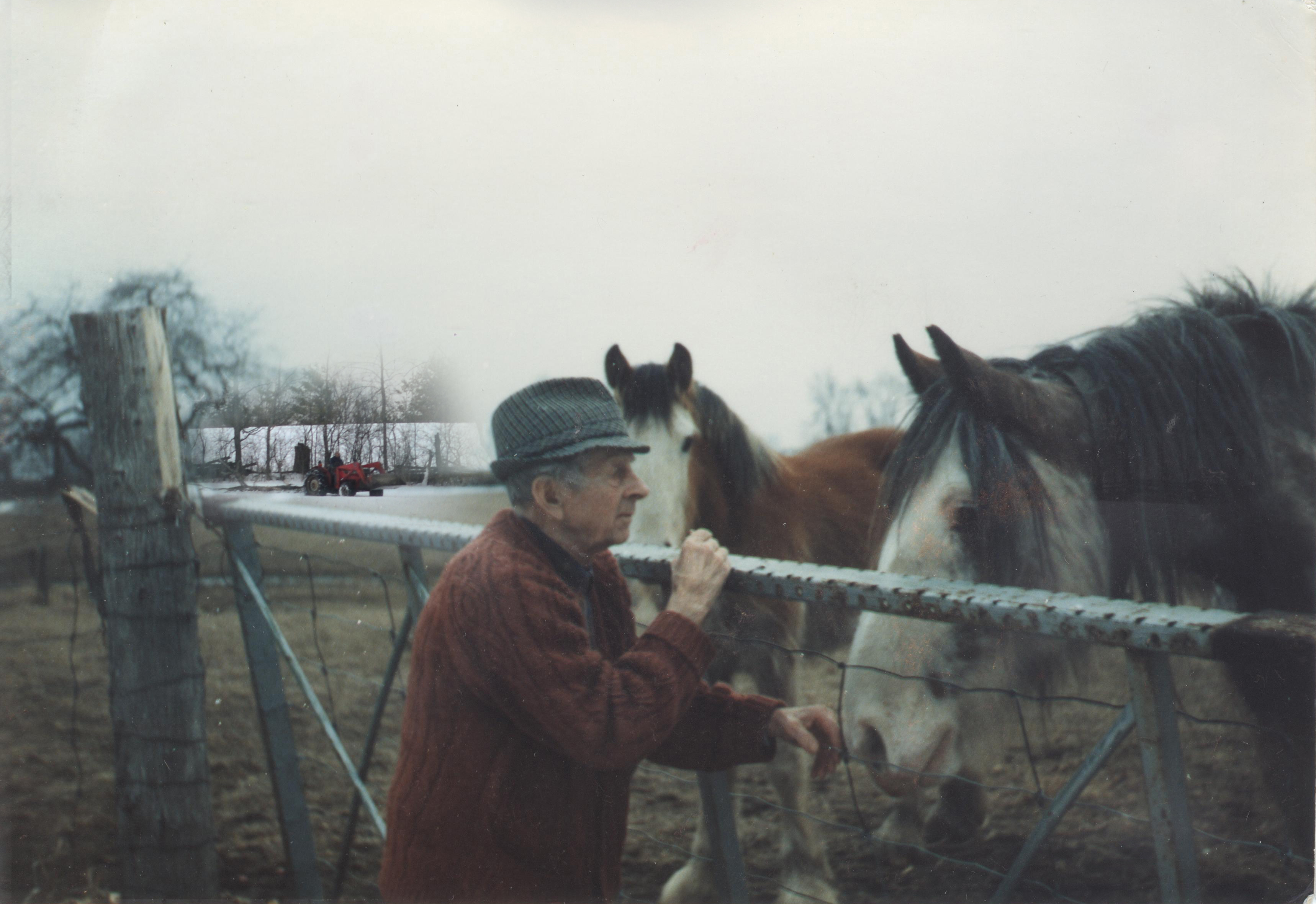 Un fermier âgé devant portail en acier, caresse le nez de son cheval. En arrière-plan un tracteur soulève un dérapage du bois de chauffage.