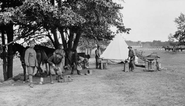 Photo en noir et blanc d’une forge en plein air. Plusieurs hommes s’affairent autour de chevaux, devant une tente à l’arrière-plan.