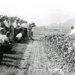 Journée champêtre à la Ferme expérimentale du Dominion d’Agassiz