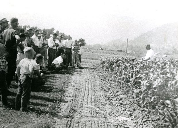 Photo en noir et blanc d'une foule debout dans un champ de maïs.