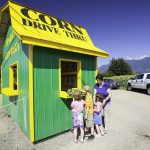Service au comptoir chez Sparkes Corn Barn