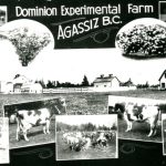 Produits de la Ferme expérimentale du Dominion d’Agassiz