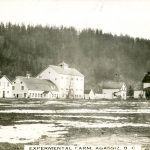 Granges de la Ferme expérimentale du Dominion d’Agassiz