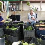 Épluchette de blé d’Inde à l’Agassiz Fall Fair