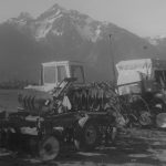 Plantation de maïs sucré chez York Farms