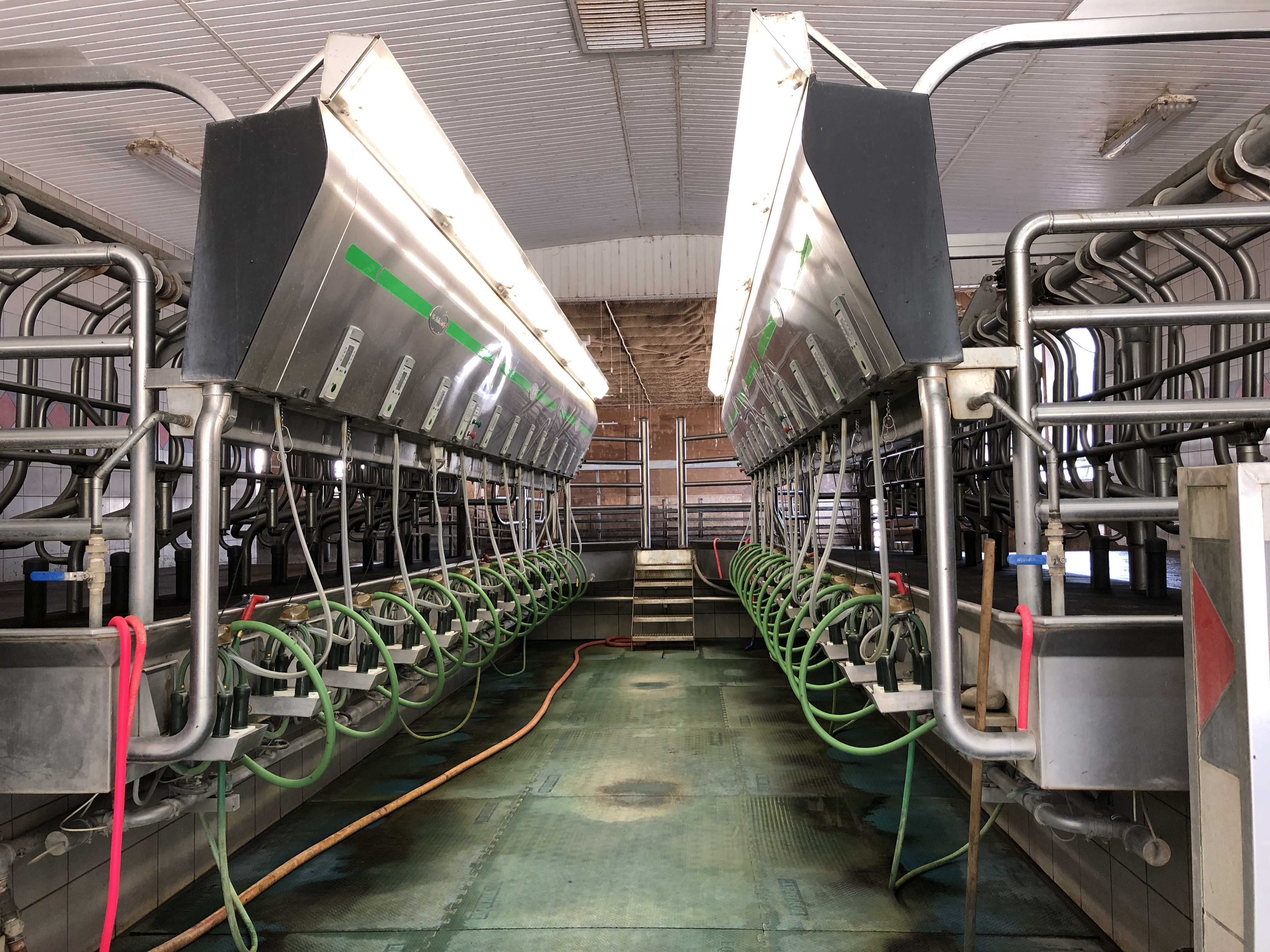 Photo en couleur d'une salle de traite en acier inoxydable.