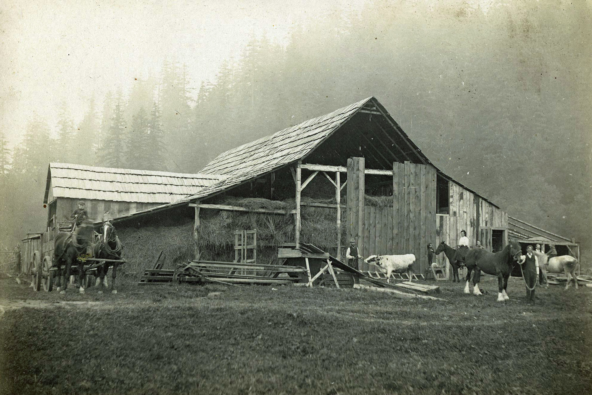 Photo en noir et blanc de chevaux de trait et de vaches devant une grange remplie de foin.