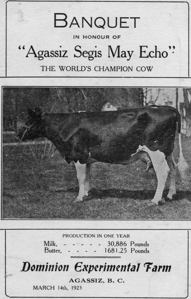 Image en noir et blanc du programme du banquet en l’honneur d’Agassiz Segis May Echo. Comprend une photo de la vache championne, 1923.