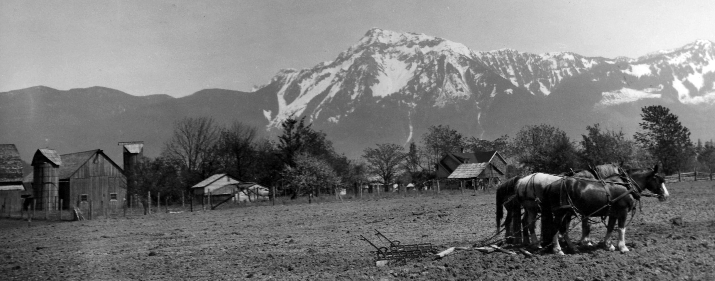 Photo en noir et blanc d'un attelage de chevaux de trait dans un champ avec des bâtiments agricoles et une montagne en arrière-plan.