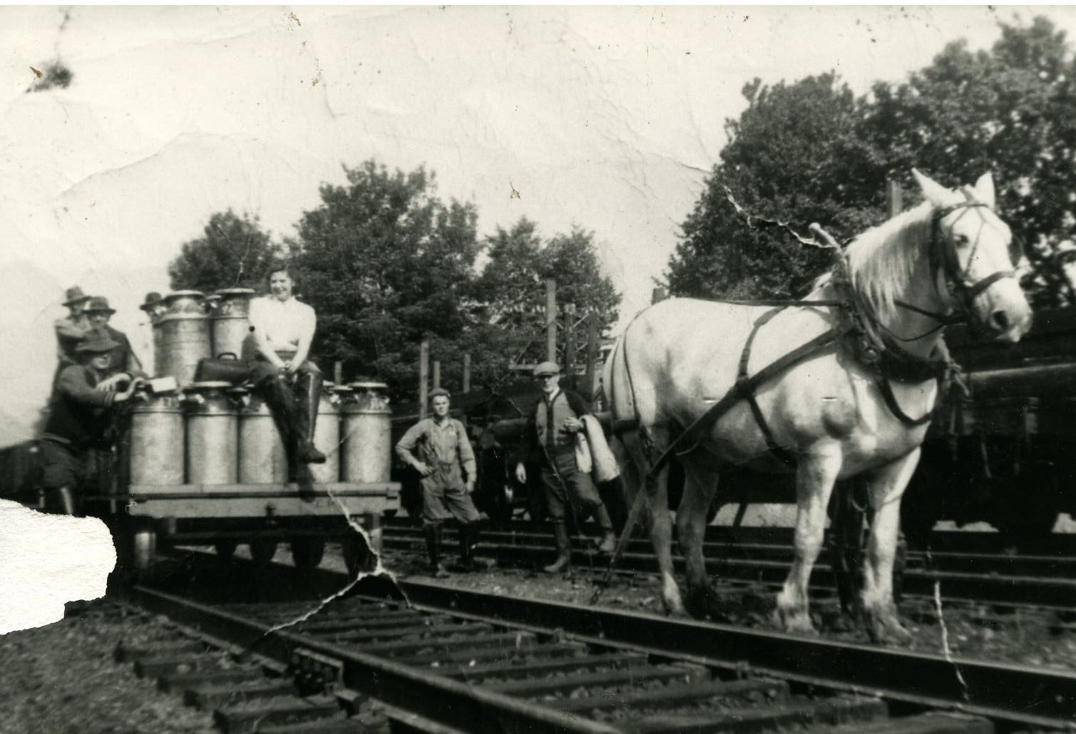 Photo en noir et blanc montrant des fermiers avec une charrette à lait chargée sur une voie ferrée. Un cheval est attelé à la charrette.