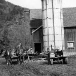 Un silo rempli de maïs