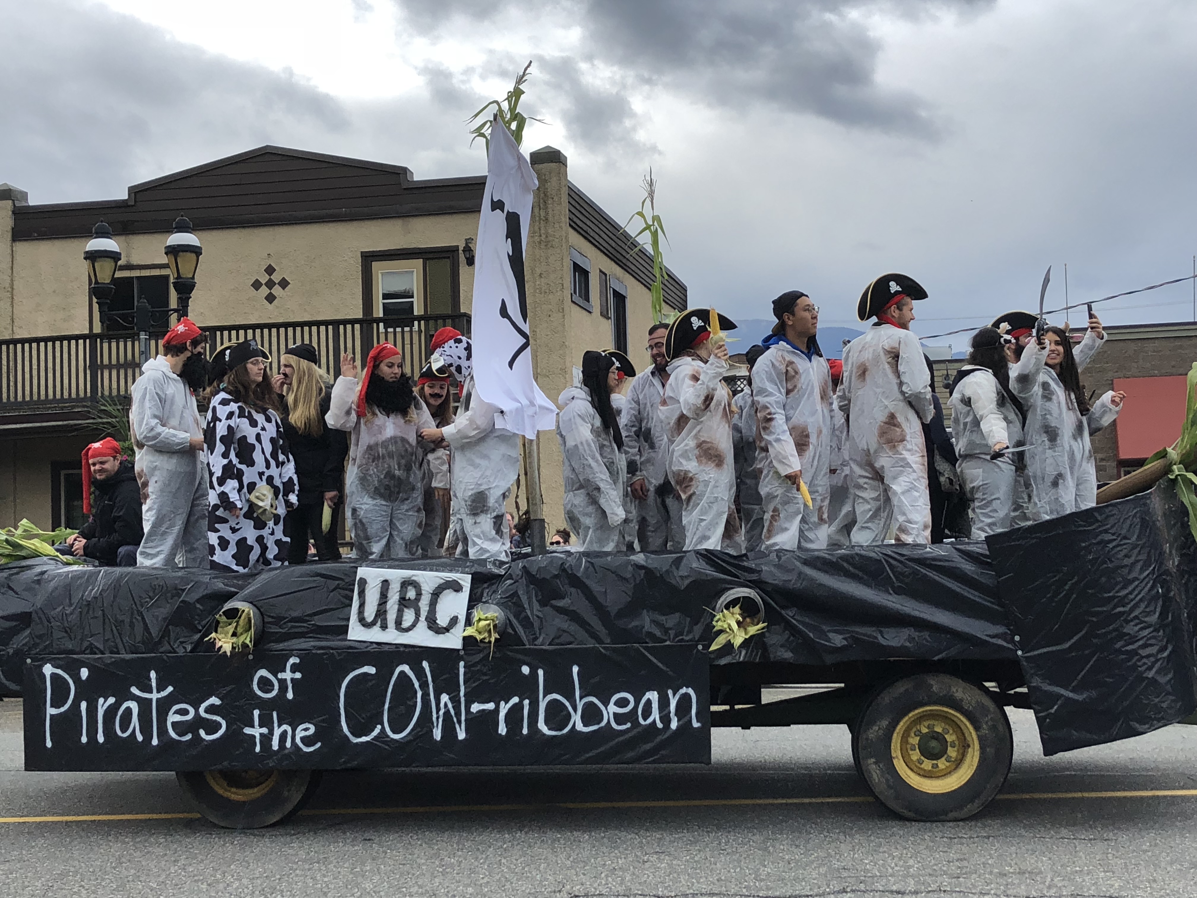 Photo en couleur d'un groupe d'étudiants universitaires vêtus de costumes de vache et portant des chapeaux de pirate. Ils sont debout sur le char allégorique des Pirates of the Cowribbean dans un défilé.