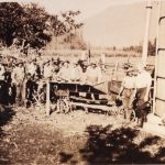 Ensilage de maïs à la ferme McCallum