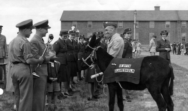 Âne noir portant une couverture entouré d’hommes et de femmes en uniforme militaire