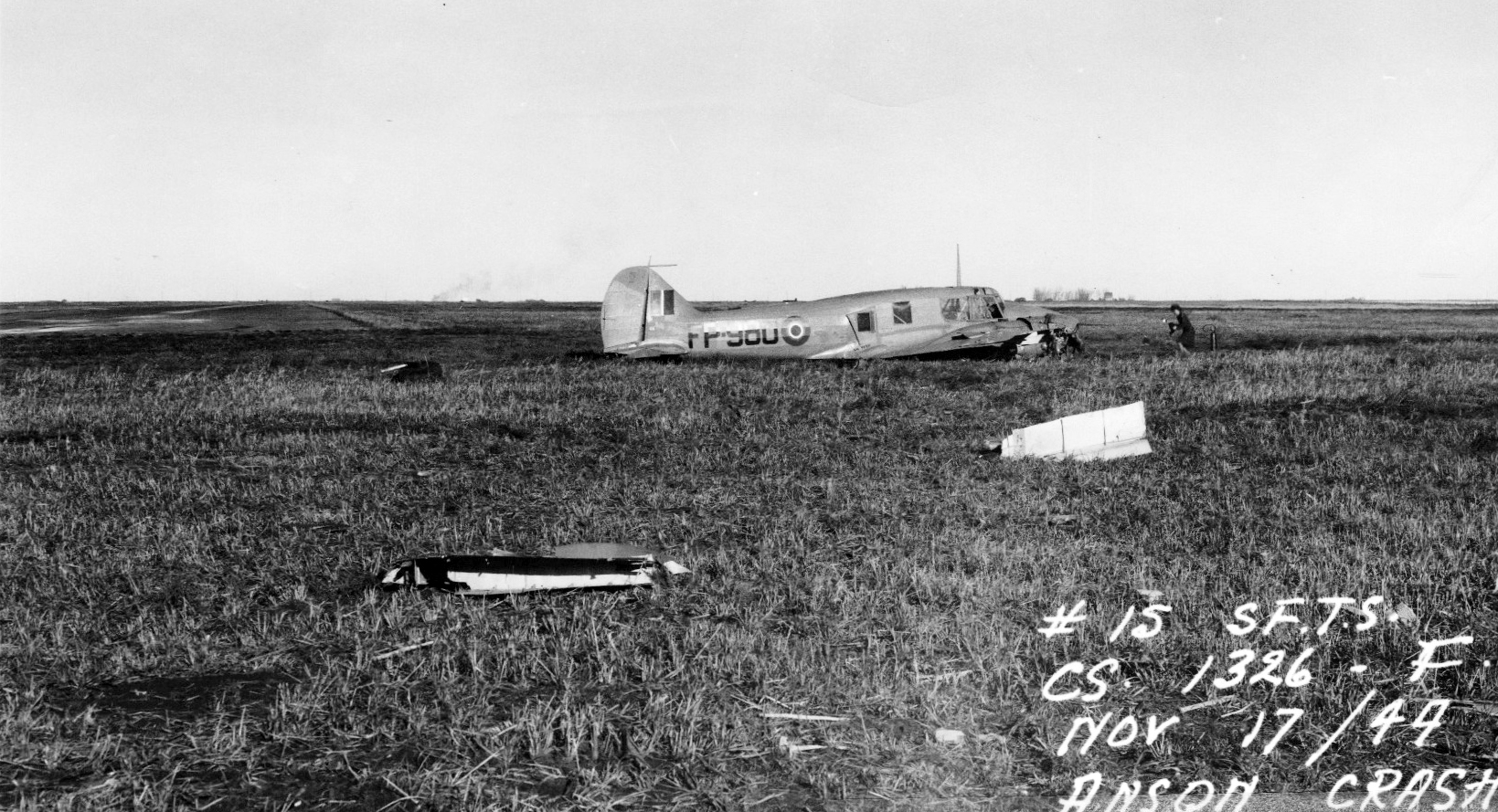 Champ, non loin du lieu d’un écrasement d’avion, une femme prend des photos