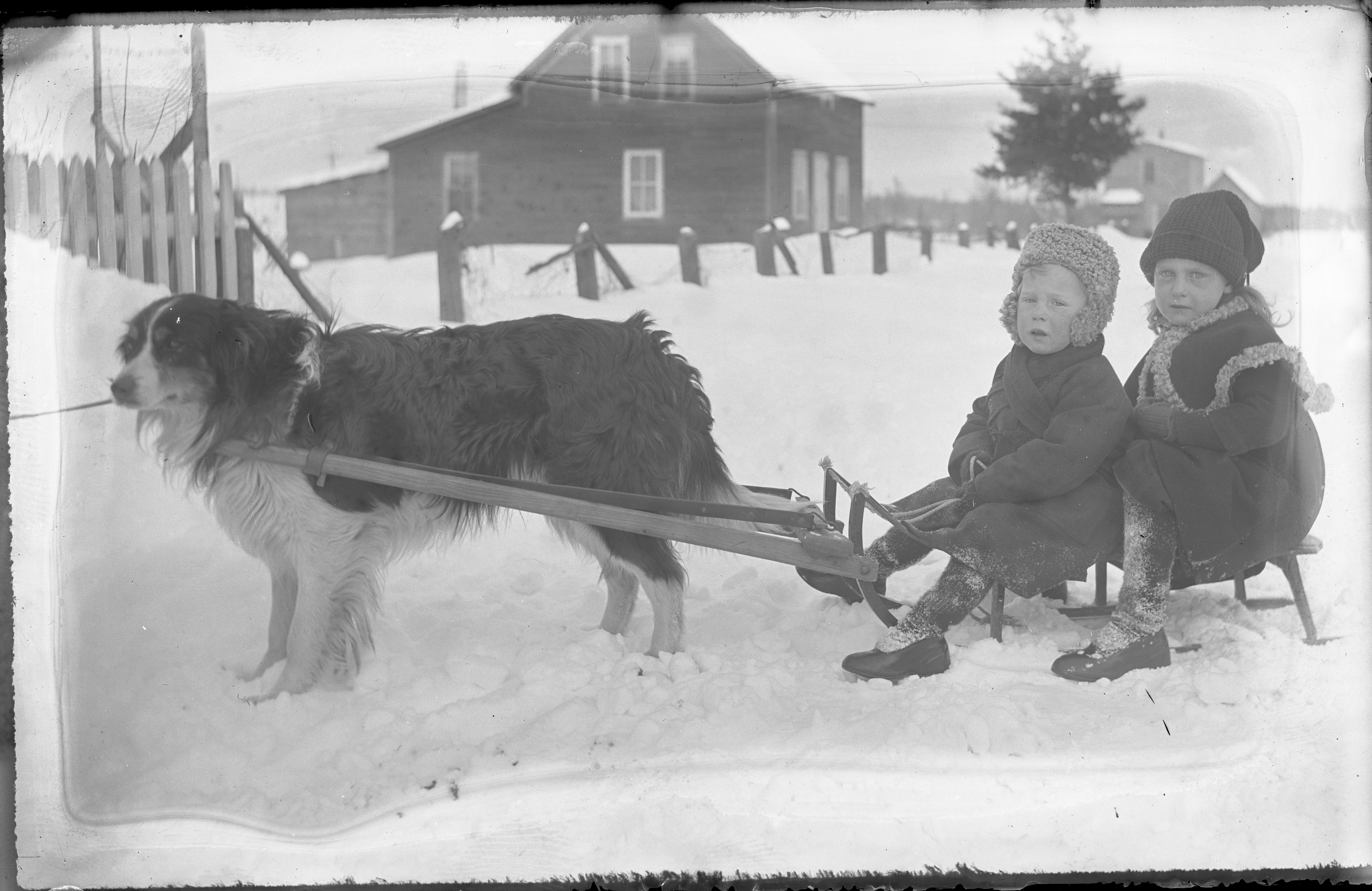 Deux enfants assis sur un traîneau tiré par un chien en hiver. En arrière-plan, une maison enneigée. 