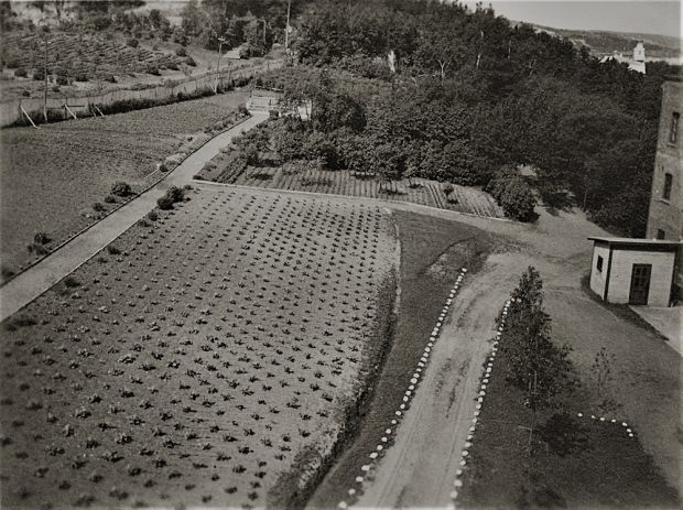 Photo en noir et blanc d’un jardin près d’un bâtiment.