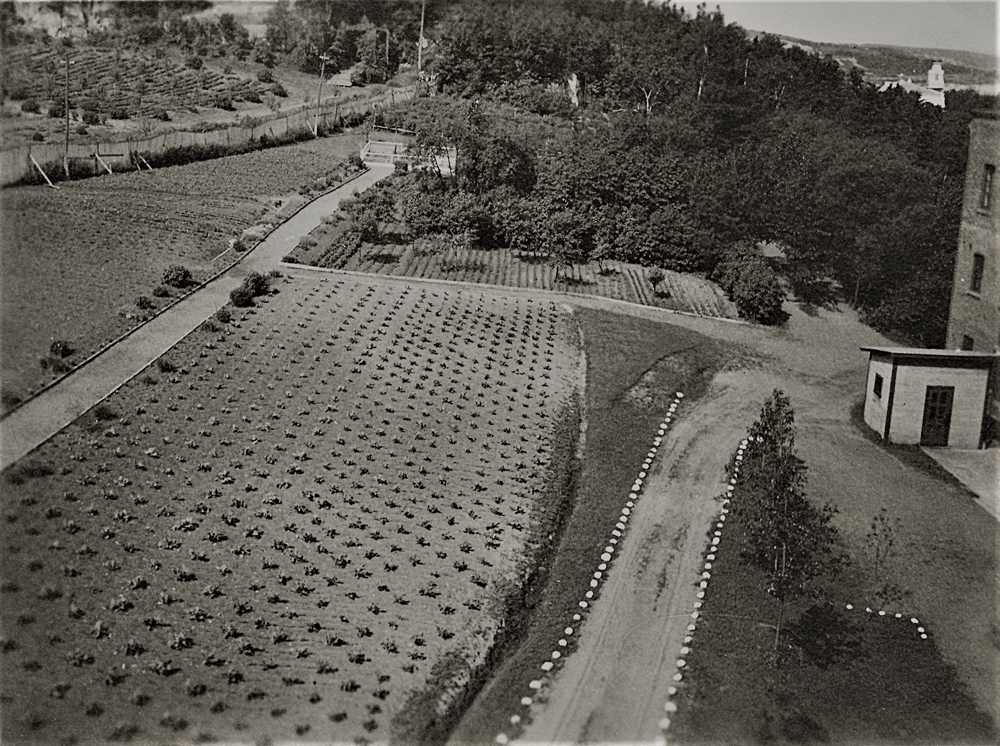 Photo en noir et blanc d’un jardin près d’un bâtiment.