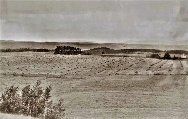 Photo en noir et blanc d’un champ vallonné. 