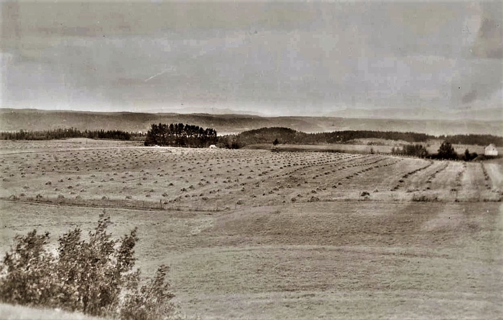 Photo en noir et blanc d’un champ vallonné. 