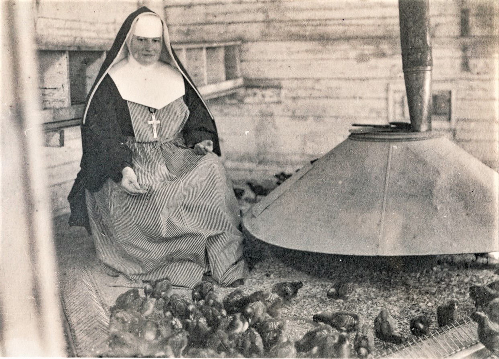 Photo en noir et blanc d’une religieuse portant un voile, la croix et un tablier nourrissant des poussins.