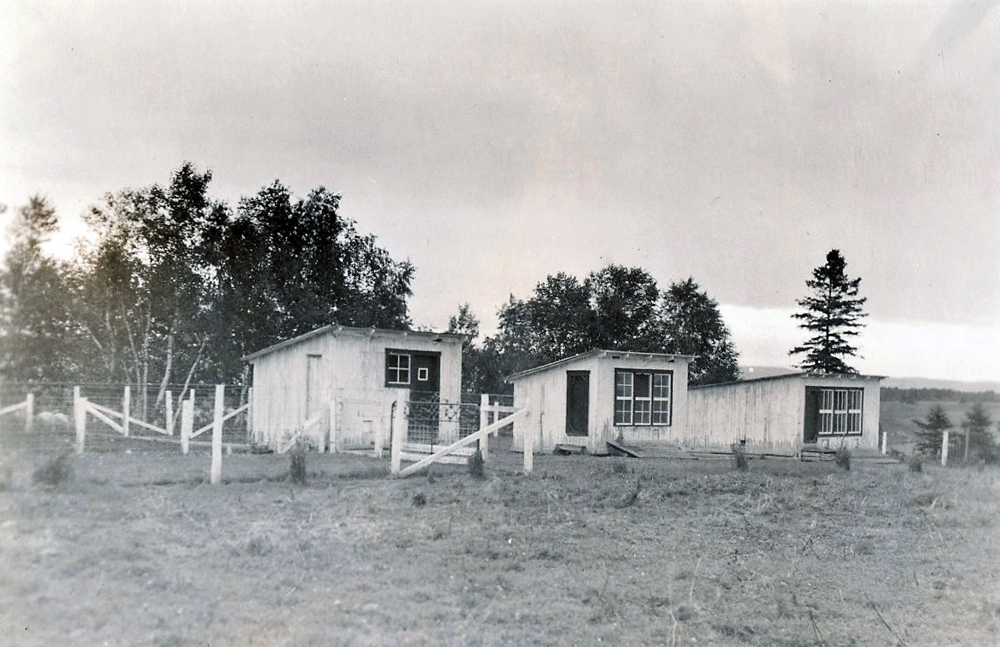 Photo en noir et blanc de trois petites cabanes clôturées.