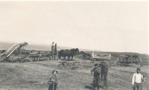 Photo en noir et blanc de plusieurs hommes travaillant dans un champ avec des chevaux.