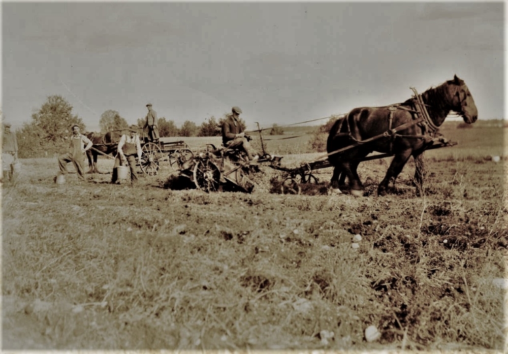Photos. Haute-Saône : des cartes postales d'époque pour découvrir l' agriculture avant et pendant la guerre