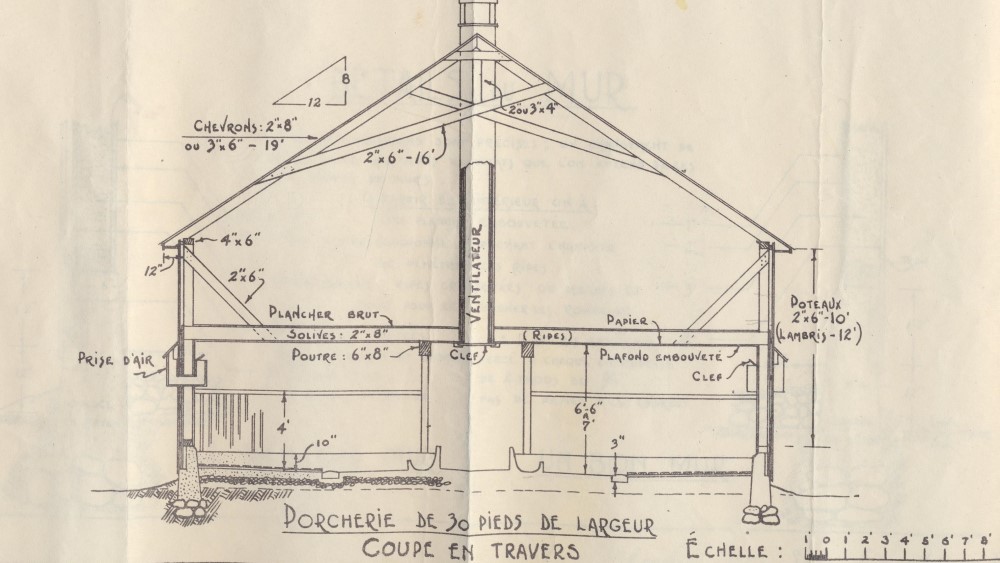 Dessin graphique d’un bâtiment, coupe en travers. Plusieurs mesures sont indiquées en pouces. 