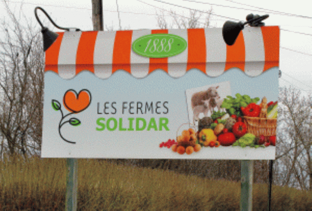 Grand panneau avec l’inscription LES FERMES SOLIDAR, avec une image d’un panier de légumes et une photographie de trois brebis en arrière-plan. 