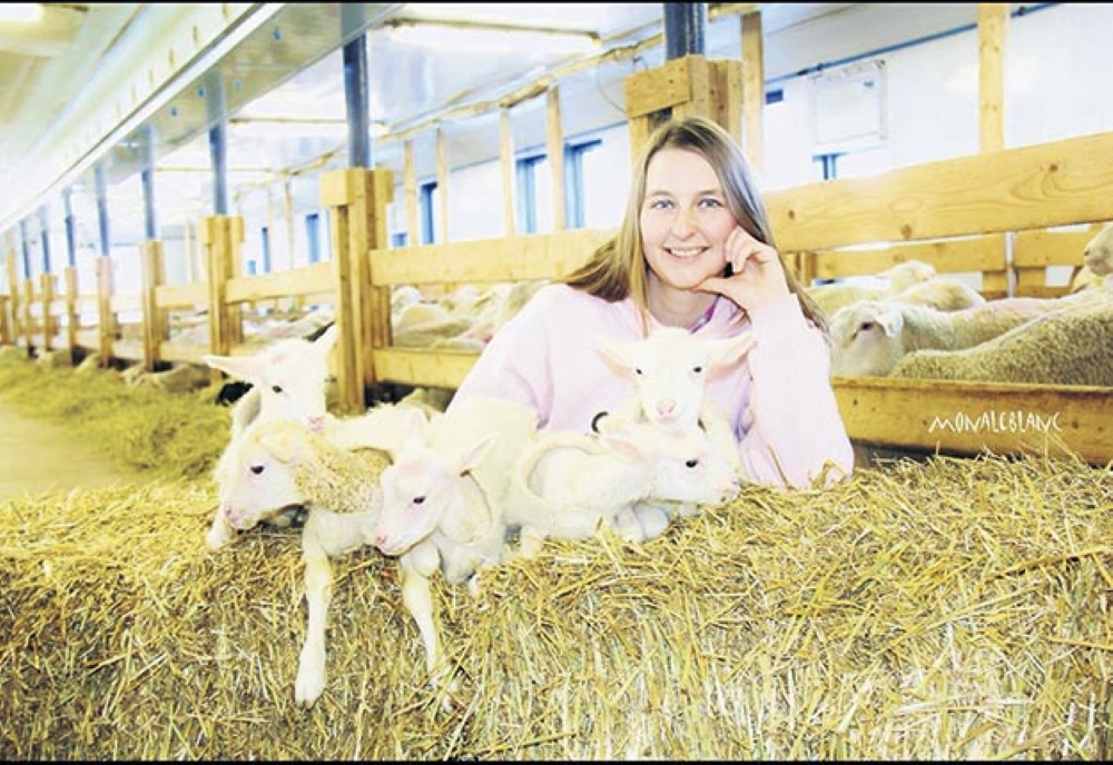 Une jeune femme avec des brebis dans une étable. 