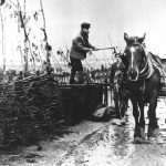 Vider les coffres à l’époque du cheval