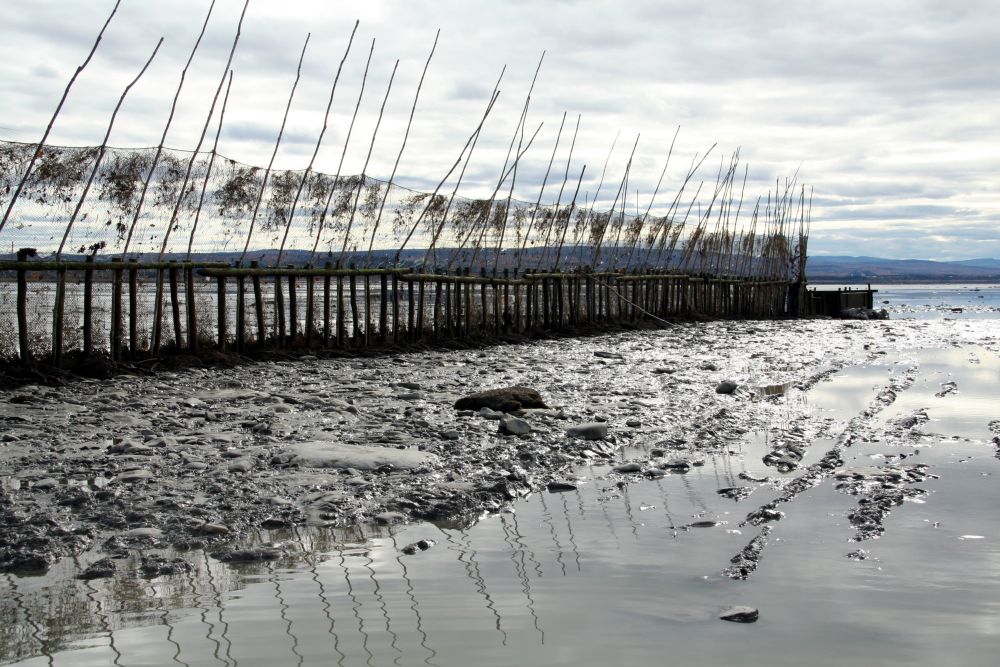 Sur une légère élévation de gravier et de vase, sur le rivage du fleuve, une barrière de 95 m de long faite de filets de pêche tenus à la verticale par des perches de bois aboutit à un coffre aussi en bois. Le ciel nuageux et les perches portant les filets se reflètent dans l’eau calme au premier plan.