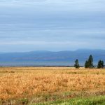 Paysage sud-côtois