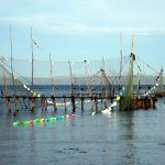Pêche à l’anguille