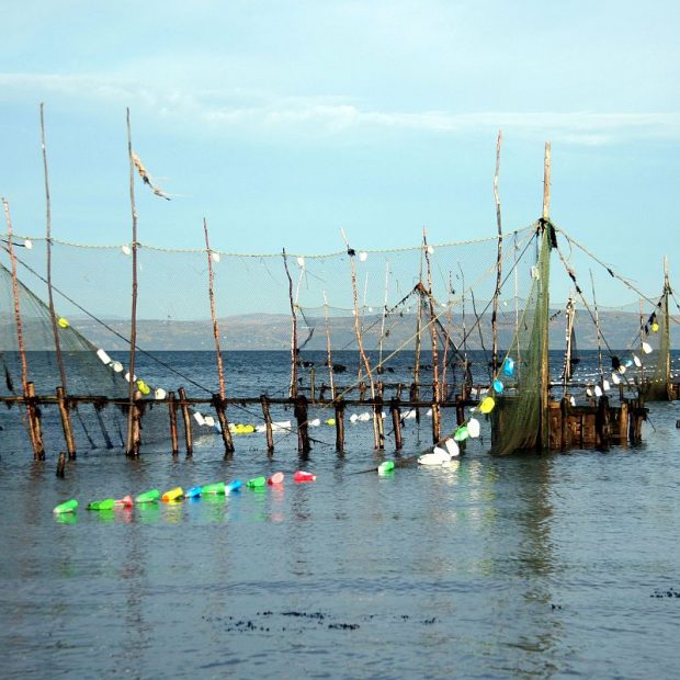 De grands filets montés à la verticale à l'aide de poteaux et de perches de bois forment des barrières qui s'avancent dans l'eau et aboutissent à un contenant en bois. Des filets commencent à flotter à l'aide de bouteilles de plastique vides et multicolores attachées à leurs rebords.