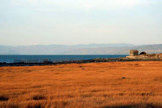 Paysage côtier : au premier plan, le foin de mer est doré. Au centre, le fleuve azur et une pêche à anguilles traversent la photo. À droite, des oies des neiges survolent une vieille maison et en arrière-plan on voit des montagnes.