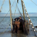 Vérification des pêches