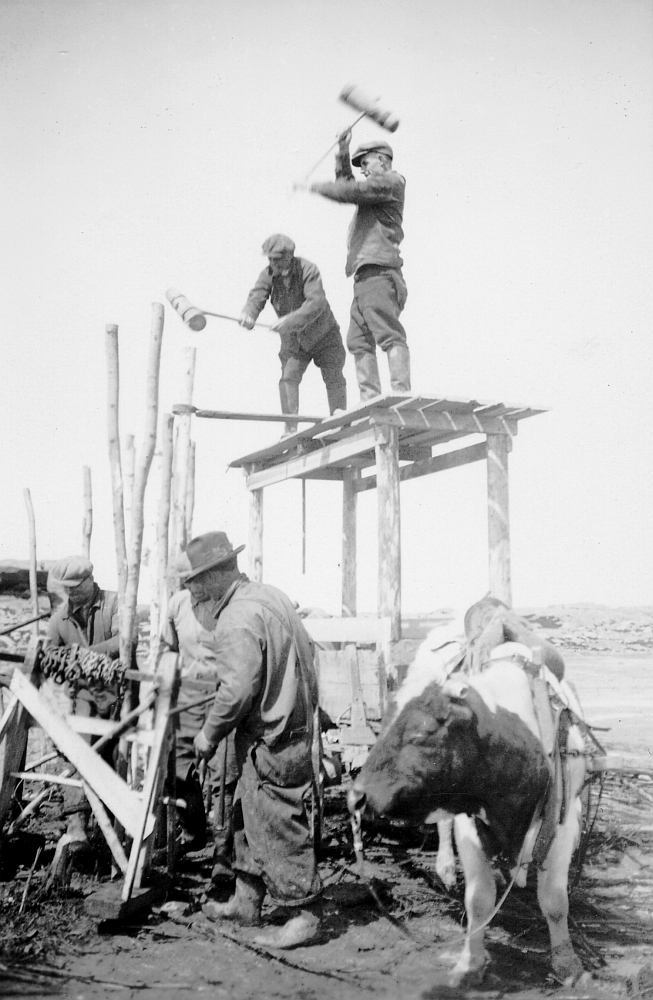 Sur la rive du fleuve, deux hommes debout sur un échafaudage de bois tiré par un bœuf plantent dans le sol des poteaux à l'aide d'une masse. Au premier plan, trois autres travailleurs préparent des chaînes.
