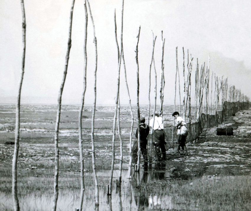 Une rangée de longues perches sur le rivage du fleuve à la base desquelles trois hommes attachent des filets de pêche; photo noir et blanc.