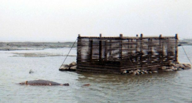 Coffre en bois fait de planches étroites horizontales. Il mesure 2,4 m x 4,8 m, sa hauteur est de 1,8 m. Il est fixé au fond marin par des câbles. Il est solidifié par des pierres à sa base.