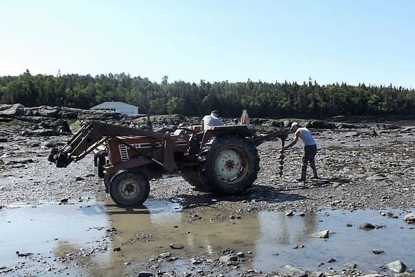 Un tracteur doté d'une tarière est sur la rive du fleuve. Le conducteur du tracteur regarde un autre homme qui guide vers le sol l’outil placé derrière le tracteur.
