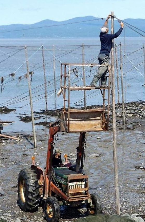 Sur la rive du fleuve, un tracteur soulève sa pelle transportant un échafaudage adapté sur lequel un homme est debout. Il attache un câble au sommet d'un poteau. On voit le fleuve au loin.