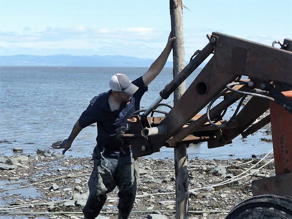Un homme en vêtements de travail tient un poteau qui est en train d’être planté sur le rivage du fleuve au moyen d’un tracteur.