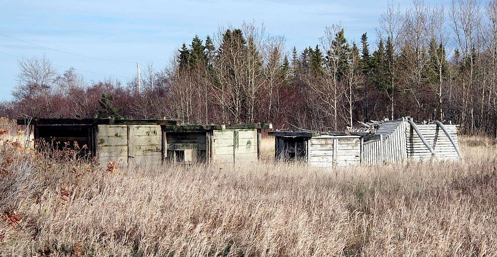 Trois gros coffres en bois, ainsi que deux entonnoirs aussi en bois déposés dans un champ à l'automne, en bordure d'un boisé.