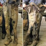Des culottes de cheval
