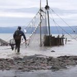 La pêche à filets flottants