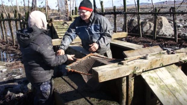 Un homme debout dans un coffre de bois servant à garder les anguilles captives dans la pêche à anguilles saisit un filet monté sur un cadre carré et doté d’un long manche en bois qu’une femme lui tend.