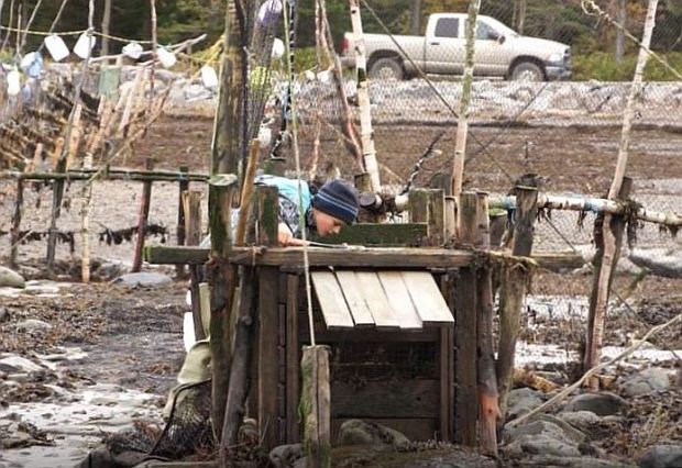 Un jeune garçon en vêtements de pêche est penché au-dessus d'un gros coffre en bois. Il regarde à l'intérieur s'il y a eu des anguilles de capturées.
